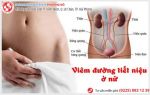 Viêm đường tiết niệu nữ, coi chừng nguy cơ vô sinh hiếm muộn