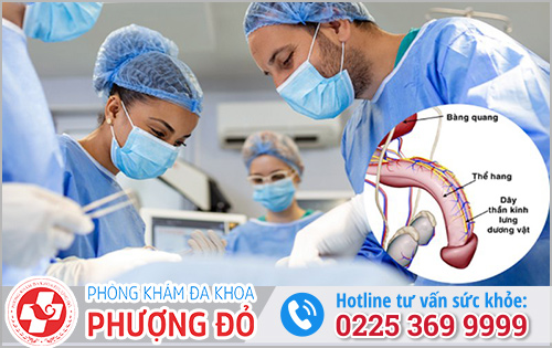 Giải Đáp: Cắt dây thần kinh lưng dương vật có chữa được xuất tinh sớm không?