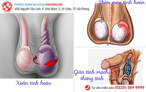 bệnh về tinh hoàn