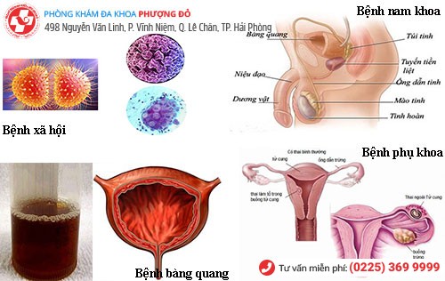 Nước tiểu màu đỏ