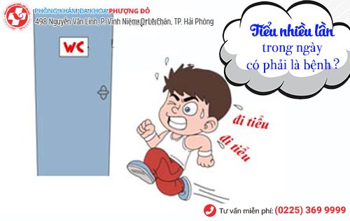 tiểu nhiều lần trong ngày là bệnh gì