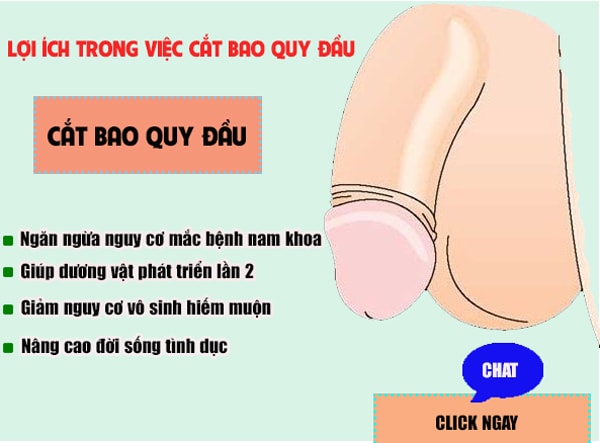 lợi ích của việc cắt bao quy đầu