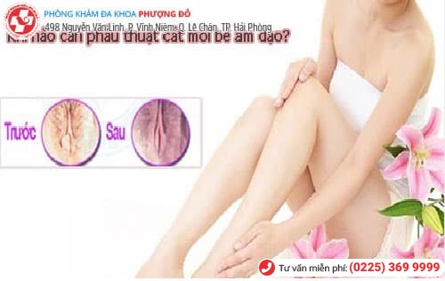 phẫu thuật cắt môi bé có đau không phẫu thuật cắt môi bé có đau không