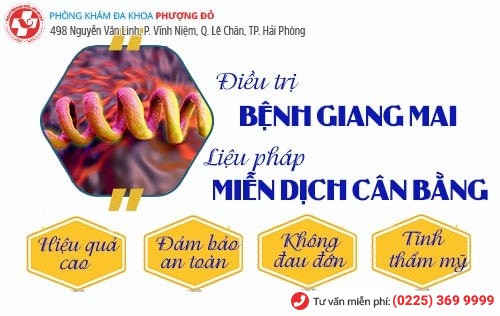 Liệu pháp miễn dịch gene sinh học là cách chữa bệnh giang mai tiên tiến nhất